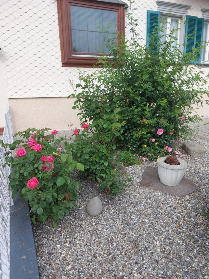 Ferienhaus Und Ferienappartements Brunner Höchst Zewnętrze zdjęcie